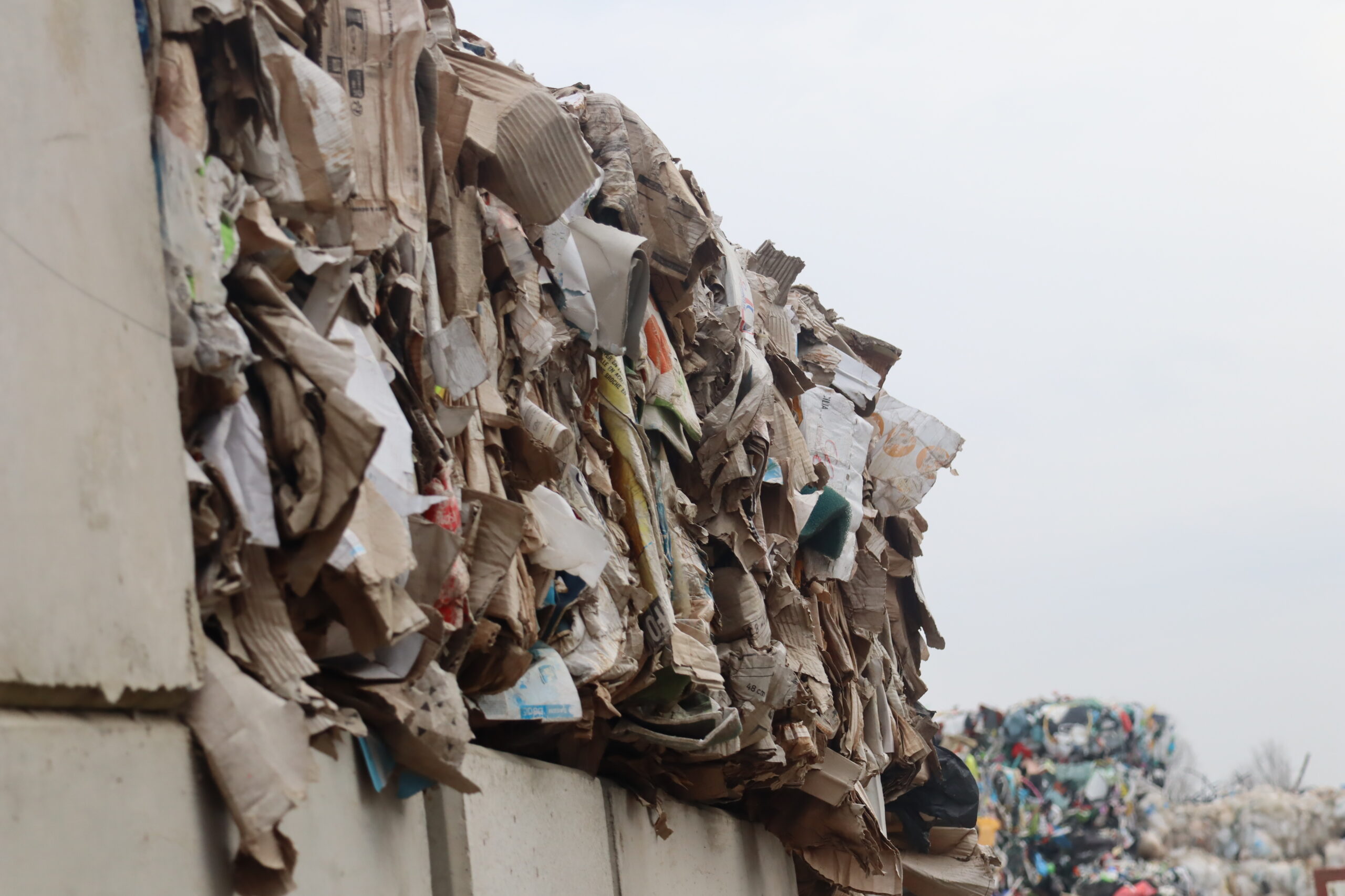 déploiement d'un matériau de construction issu de cartons recyclés